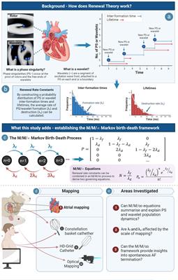 M/M/Infinity Birth-Death Processes – A Quantitative Representational Framework to Summarize and Explain Phase Singularity and Wavelet Dynamics in Atrial Fibrillation